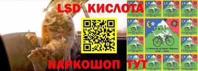 прущие грибы Краснодар
