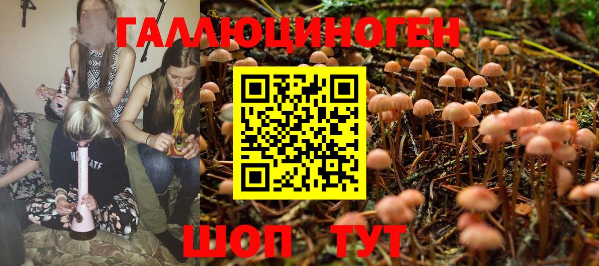 Галлюциногенные грибы Magic Shrooms  Вход с VPN  Галлюциногенные грибы Psilocybe  Каменск-Уральский 
