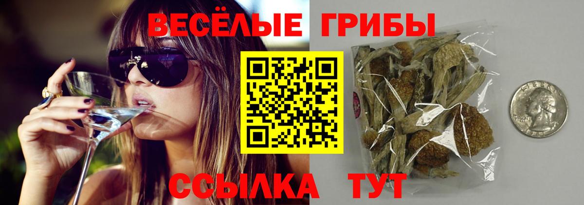Галлюциногенные грибы GOLDEN TEACHER Каменск-Уральский